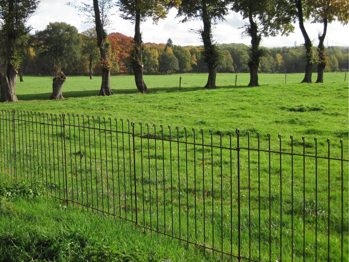 einfache Grundstuecksabgrenzung mit dem Gartenzaun Graz 115 roh zum in die Erde stecken einfache Grundstuecksabgrenzung mit dem Gartenzaun Graz 115 roh zum in die Erde stecken