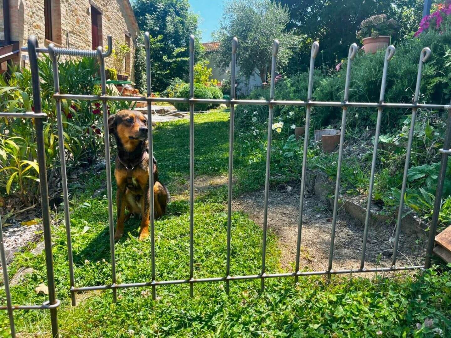 Tür Graz - Standardbreite