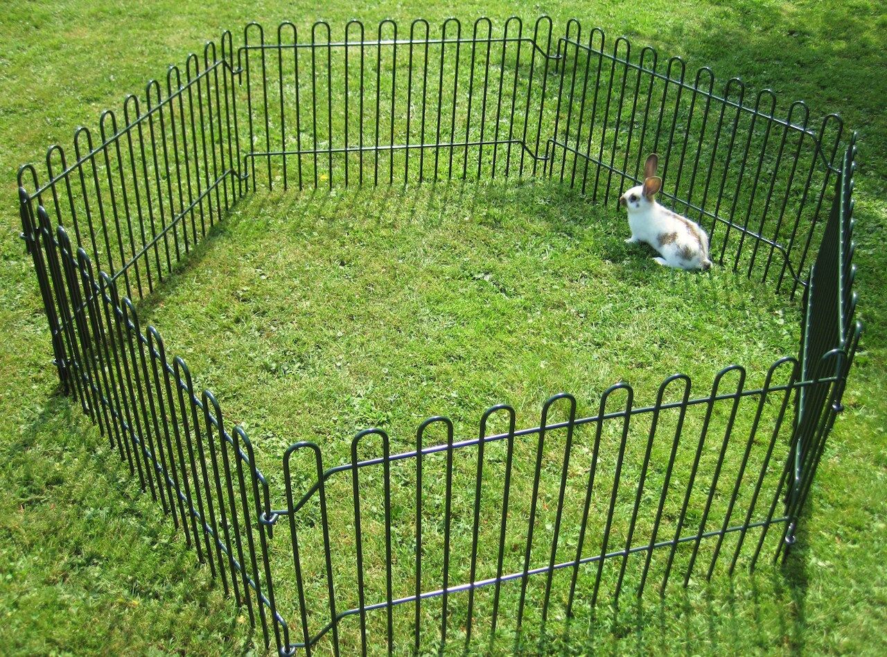kleintierzaun_hasen_salzburg_mobilhvwa2ouzBGqVq Mobiler Hasenzaun