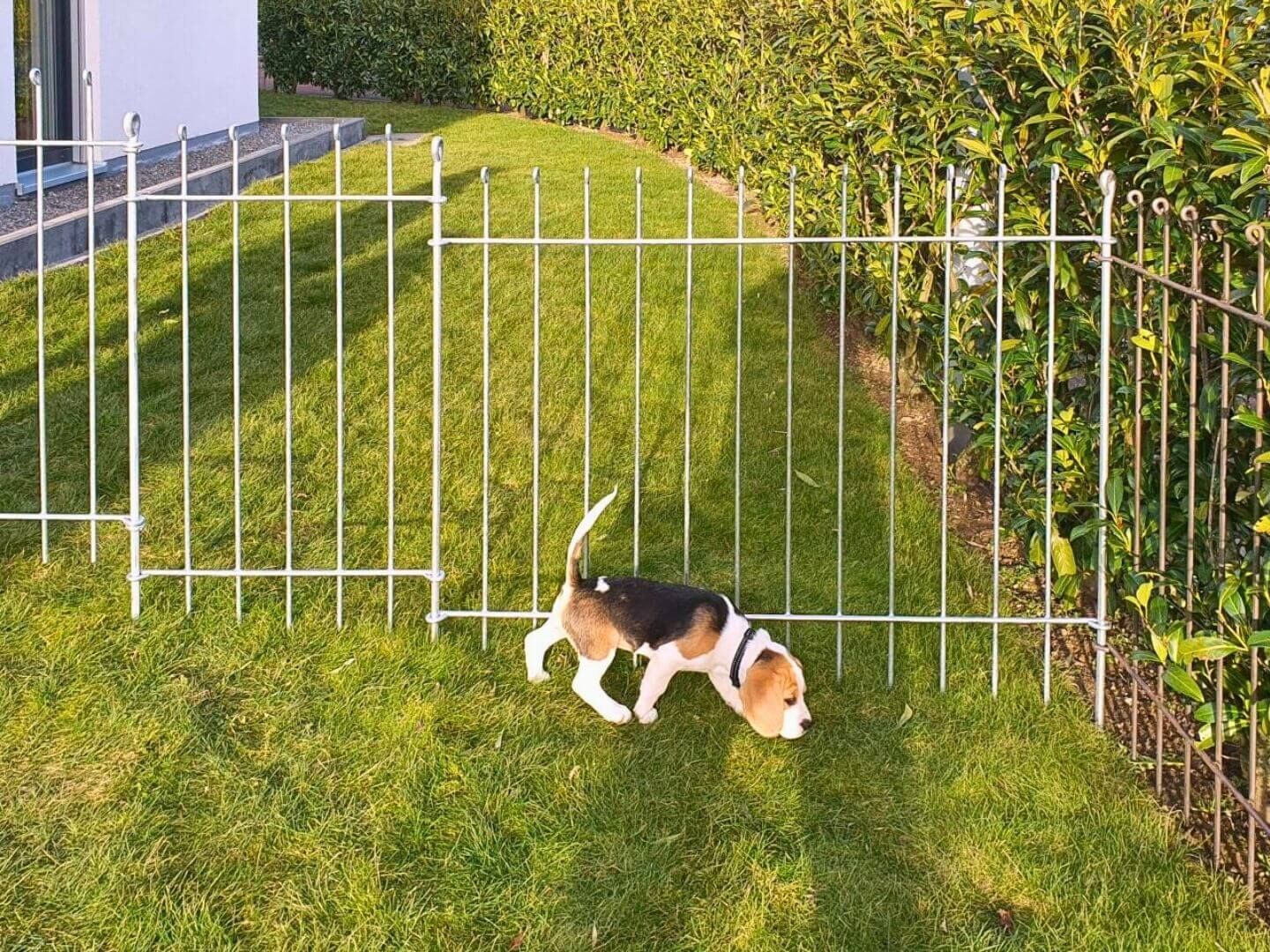Hundezaun Graz 115 feuerverzinkt zum in die Erde stecken Hundezaun Graz 115 feuerverzinkt zum in die Erde stecken