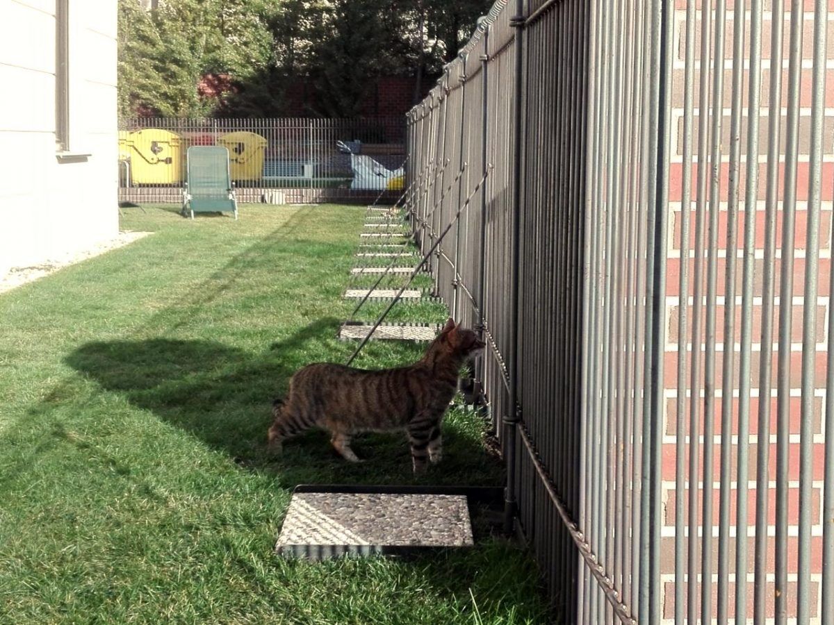 zaunstuetze-mit-diagonalstreben_6 Bodenständer mit Diagonalstreben mit eingelegten Steinplatten 40×40 cm und 40x 20 cm