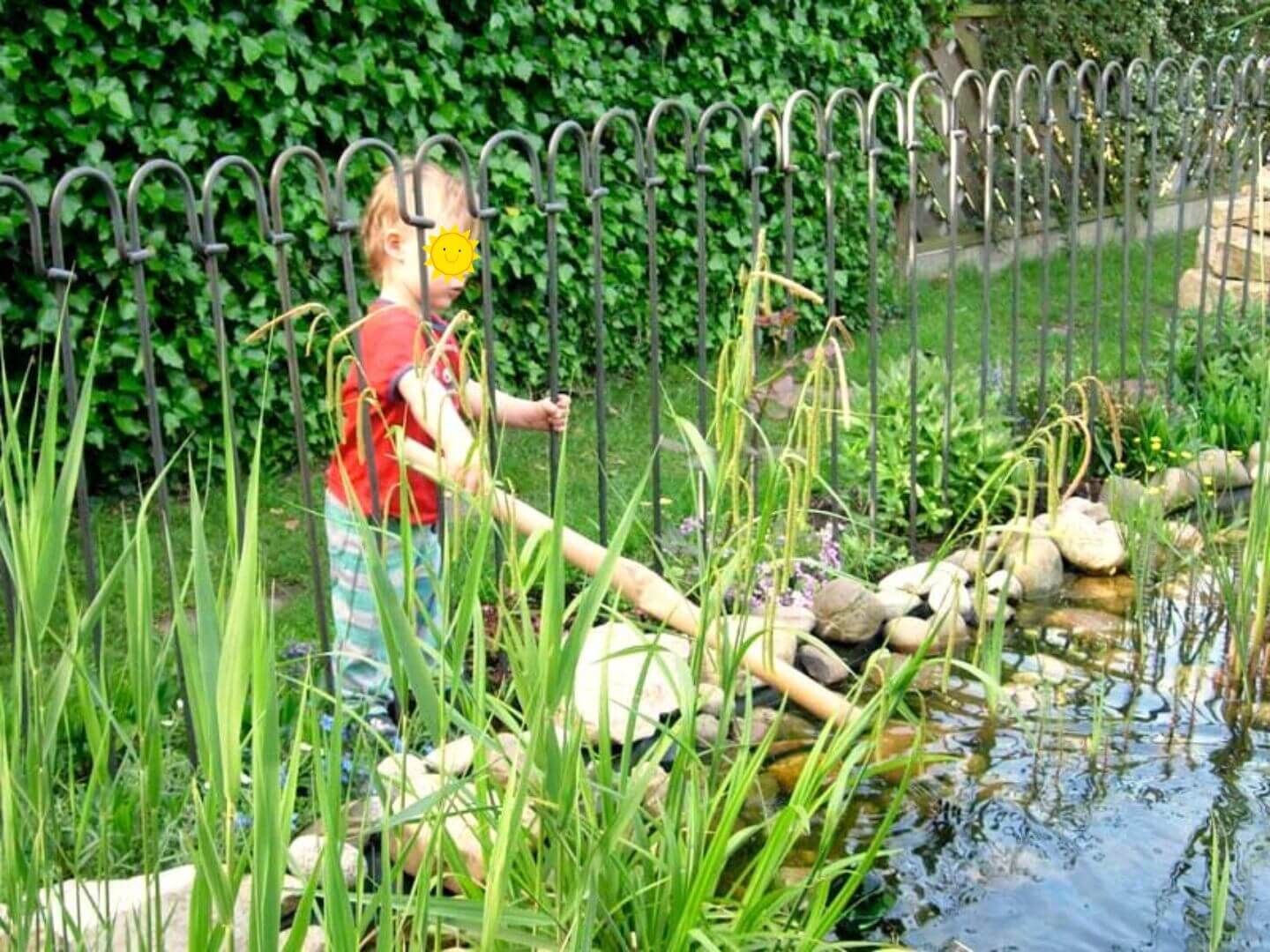 Teichzaun Vienna in Eisen roh Teichzaun Vienna in Eisen roh