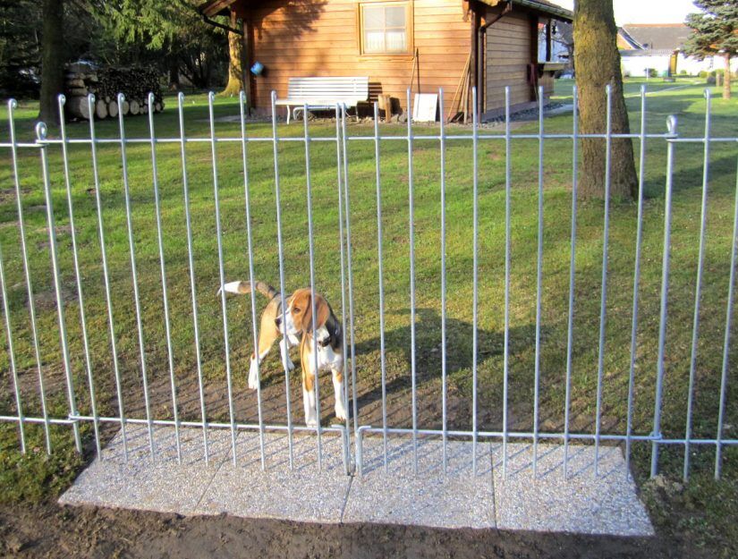 hundezaun_graz_doppelfluegeltuer_4 Doppelflügelige Tür in Eisen fezerverzinkt normaler Stababstand ohne Bodenrollen