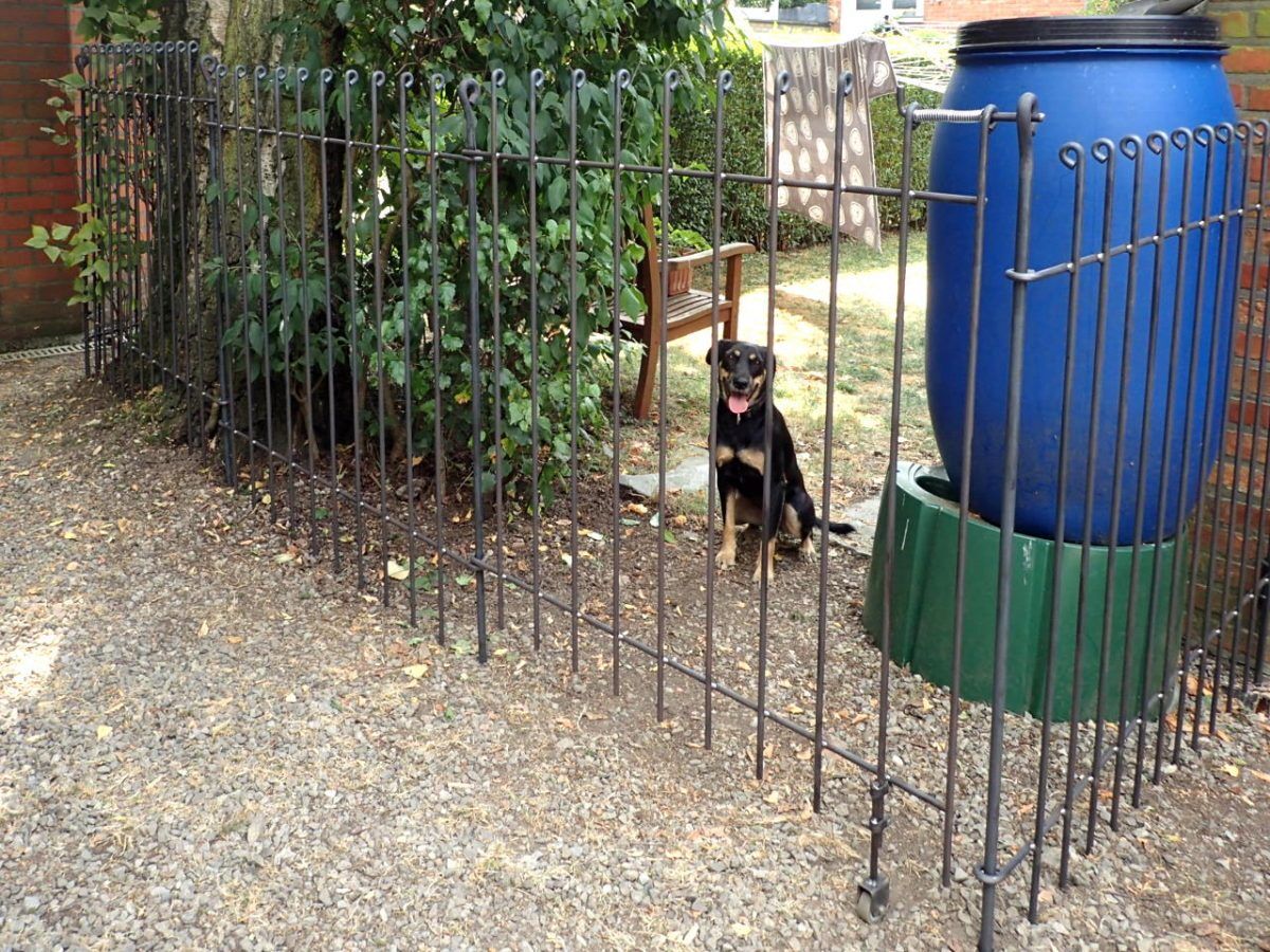 Tür für Hundezaun / Gartenzaun Graz in Eisen roh