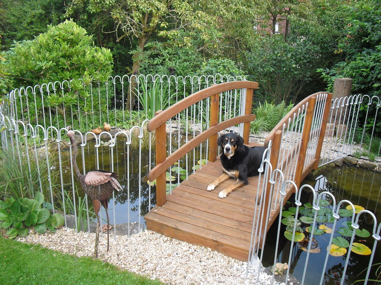 steckzaun_vienna_hund Hundezaun zum Stecken Vienna 100 Eisen feuerverzinkt