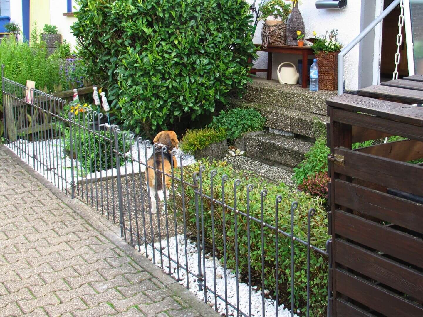 Hundezaun Graz 80 Eisen roh als Vorgartenzaun