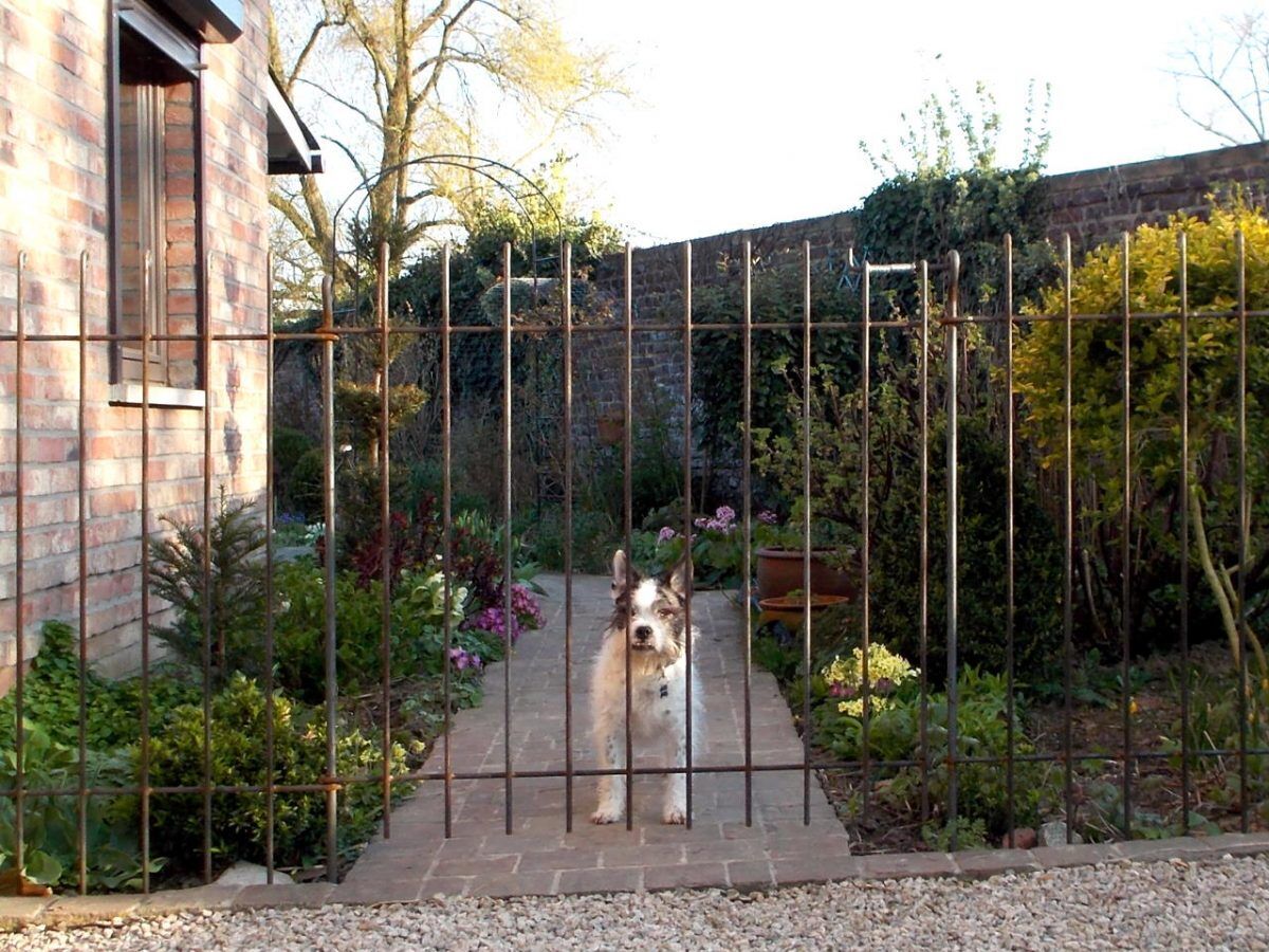 Tür für Hundezaun / Gartenzaun Graz in Eisen roh