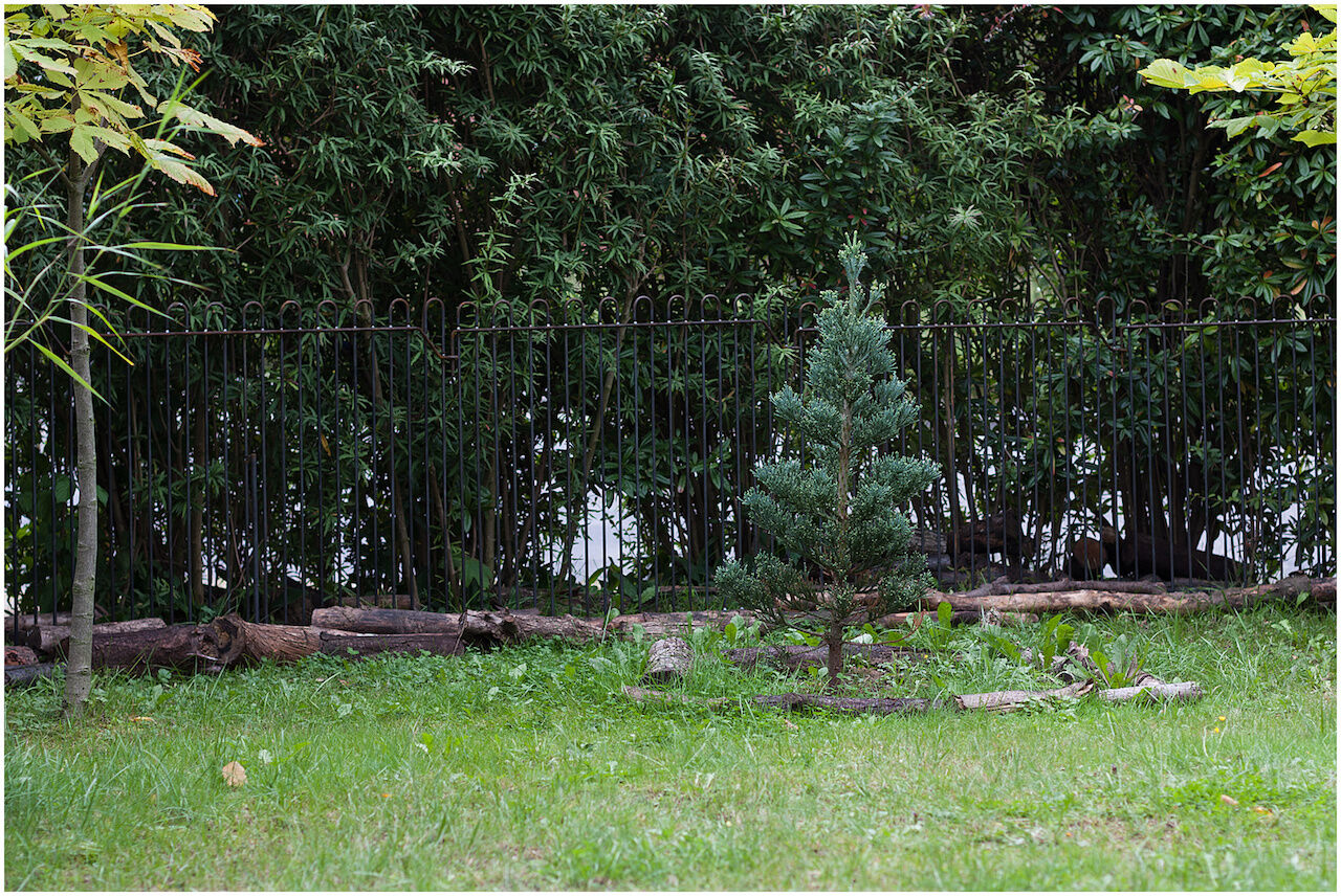 salzburg99_roh Mobiler Kleintierzaun Salzburg 99 in Eisen roh