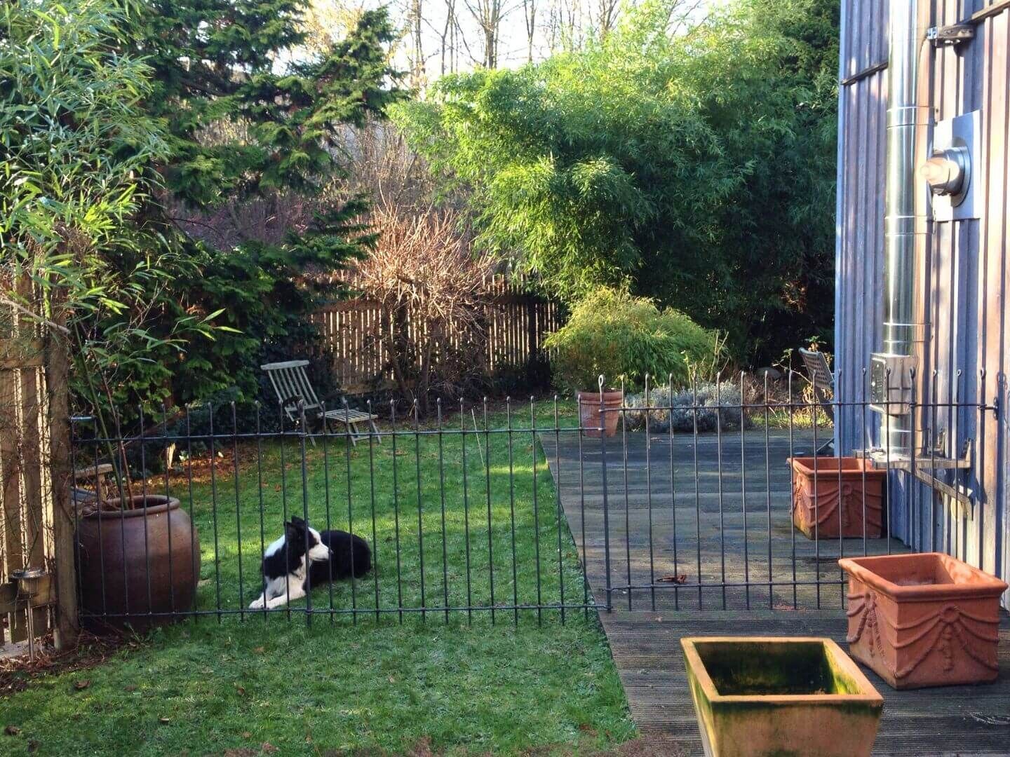 Abtrennung des Gartens mit dem Hundezaun Graz 115 roh zum in die Erde stecken