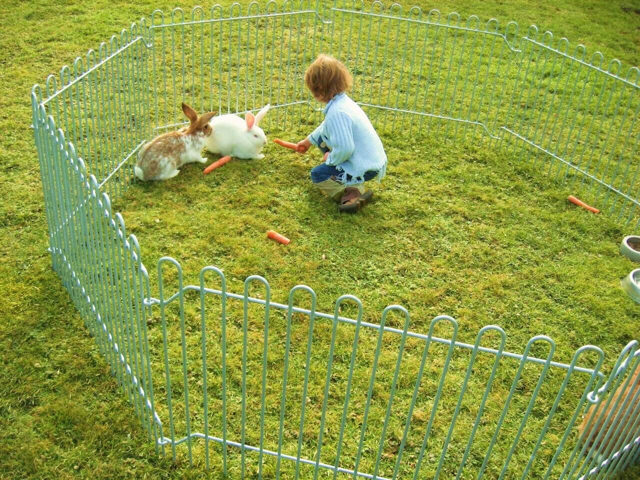 Mobiler Kleintierzaun Salzburg in feuerverzinkt zur Hasensicherung Mobiler Kleintierzaun Salzburg in feuerverzinkt zur Hasensicherung