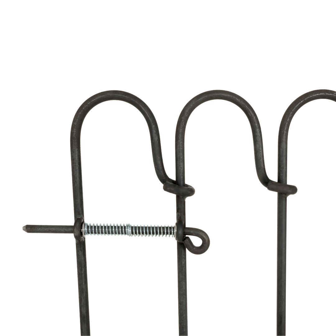 Federriegel der Tür Vienna Federriegel der Tür Vienna