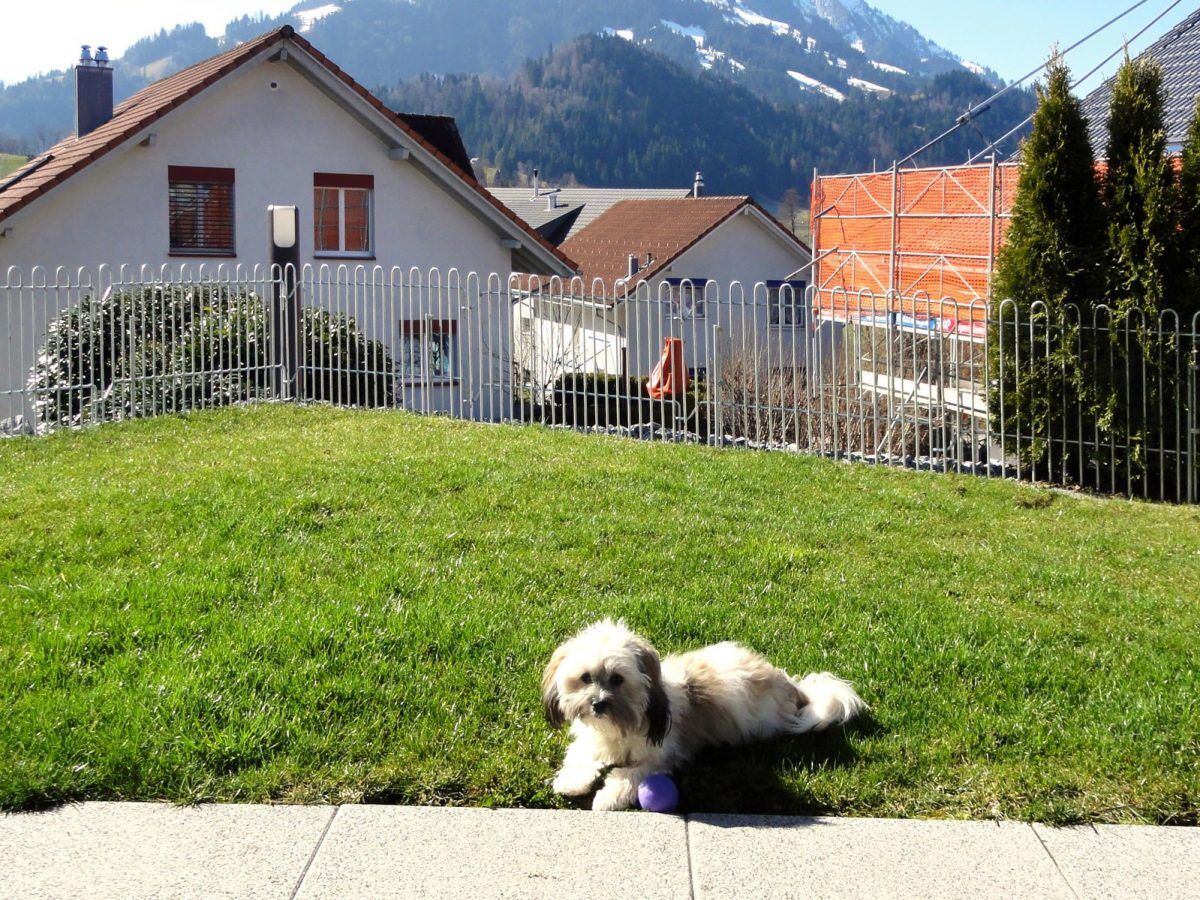 Mobiler Kleintierzaun Salzburg in Eisen feuerverzinkt zur Hundesicherung